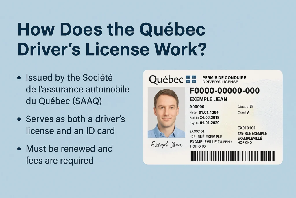 how_does_quebec_drivers_license_work