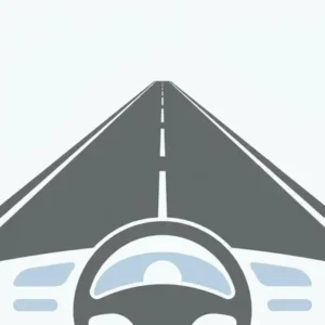 White lines separating traffic lanes